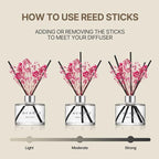 COCODOR Preserved Real Flower Reed Diffuser/Black Cherry / 6.7oz(200ml) / 1 Pack/Reed Diffuser Set, Oil Diffuser & Reed Diffuser Sticks, Home Decor & Office Decor, Fragrance and Gifts