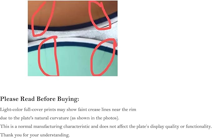 250th Anniversary Decorative Plates 10 Inch Modern Floral Patriotic Decorations Commemorative Plates with Stand Memorial Day 4th of July Veterans Day Home & Office