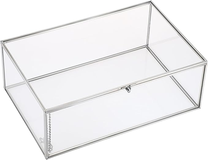 Hipiwe Vintage Silver Rectangle Jewelry Display Organizer Box with Lid, X-Large, USSN202312DUH