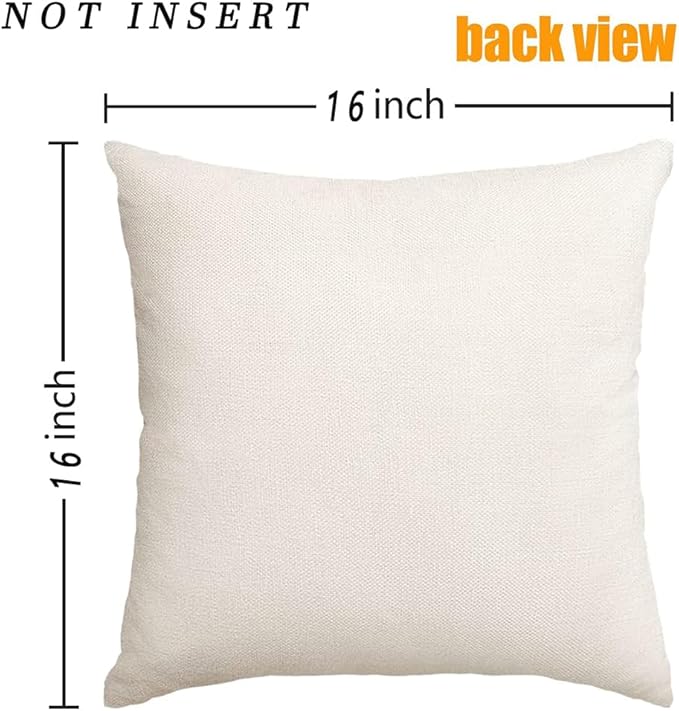 RABUSOA Birds Pillow Covers 16x16 Inch,Lumbar Decorative Throw Pillows,Spring Summer Hand-Painted Outdoor Pillowcases Cushion Covers for Couch