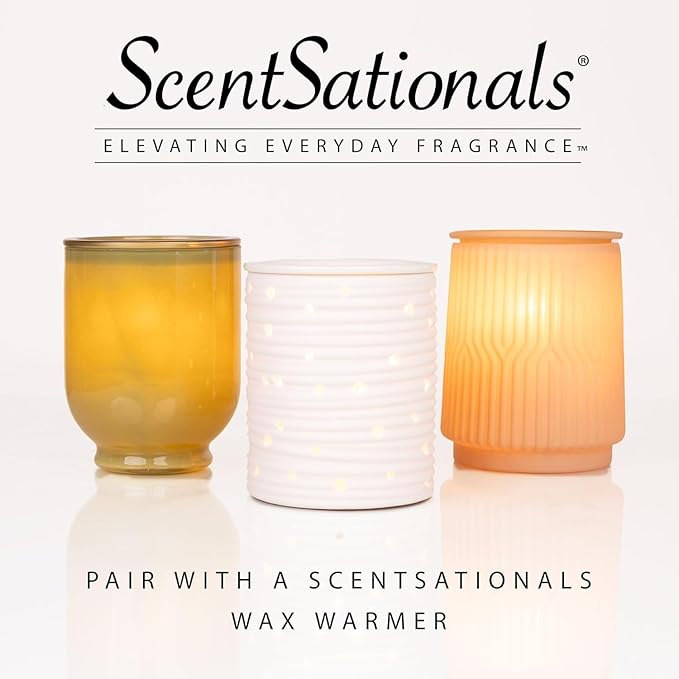 Scentsationals Woodland Spruce Scented Wax Melts - Amber Birch, Eucalyptus, & Sage, 10oz (24 Cubes)