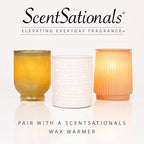 Scentsationals Woodland Spruce Scented Wax Melts - Amber Birch, Eucalyptus, & Sage, 10oz (24 Cubes)