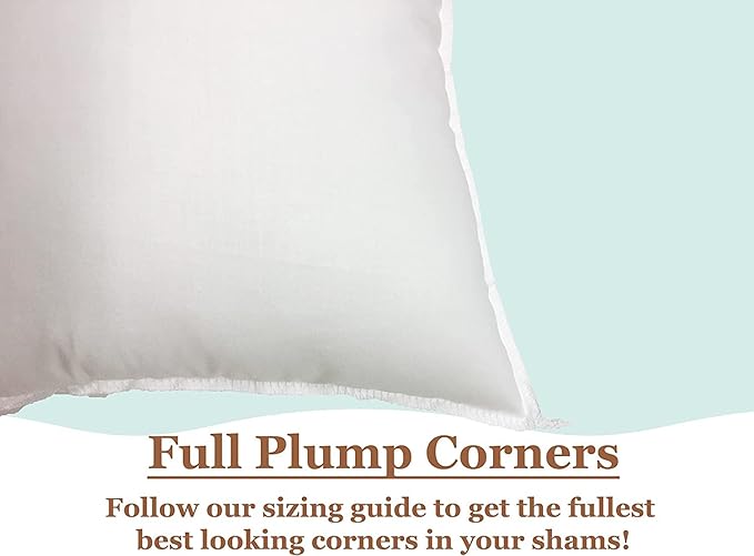 Pillowflex Premium Polyester Throw Pillow Insert - 30x30 Ultra Soft Square Throw Pillow, Couch Sham, Lumbar, Back, Sofa - Machine Washable - Decorative Accent Form - 1 Soft Pillow