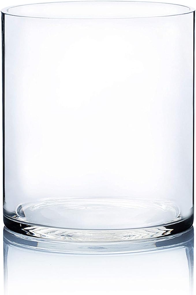 WGV Cylinder Vase, Width 9", Height 10", Clear Wide Large Diameter Flower Glassware, Floral Container, Planter Terrarium for Wedding Party Event, Home Accent Decor, 1 Piece