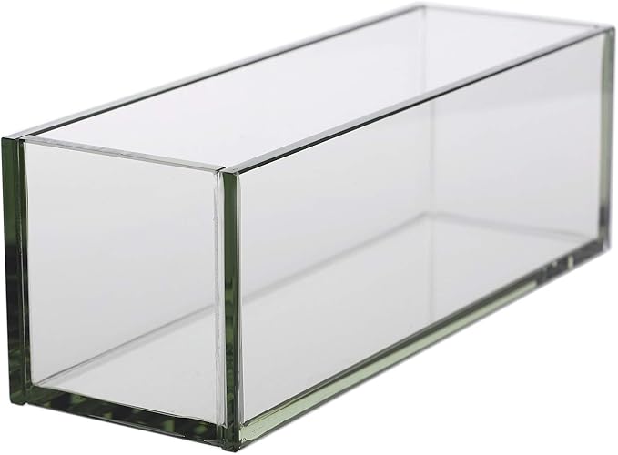 WGV Rectangle Plate Vase, Length 12", Width 4", Height 4", Glass Container, Floral Dispaly, Candy Holder, Planter Terrarium for Wedding Party Event, Home Office Décor, Clear, 1 Piece