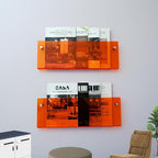 2 Pack Orange Acrylic Magazine Holder, Wall Mount Hanging Bookshelf Literature Storage Rack, Brochure File Display Shelf for Waiting Room, Living Room, Office, Home