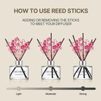 COCODOR Flower Reed Diffuser Set / 6.7oz / Ylang Ylang/Scent Diffuser with Sticks Home Fragrance Reed Diffuser for Bathroom Shelf Decor