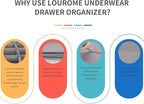Lourome Underwear Organizer, 5 Set Foldable Fabric Underwear Drawer Organizer and Sock Organizer, Drawer Organizers for Clothing, Storage Bins for Underwear, Sock, Bra and Tie