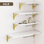 YGEOMER White Shelves for Wall, Different Sizes Wall Floating Shelves for Living Room, Bathroom, Bedroom, Kitchen, Home Decor (Set of 4)