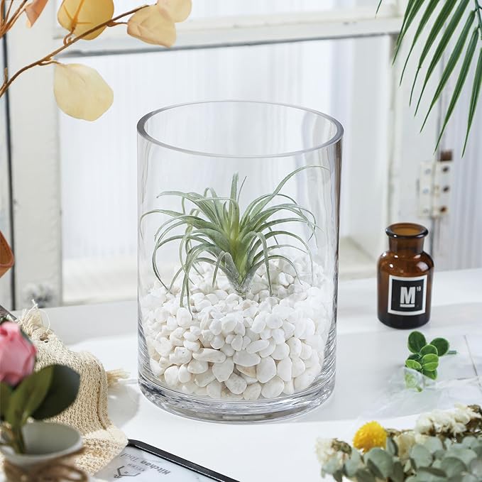 6" Wide 8" High Large Hand Blown Sturdy Clear Cylinder Glass Vase, Centerpiece Flower Vase for Rose, Tulip, Boquets, Hurricane Candle Holder (1, 6"x8")