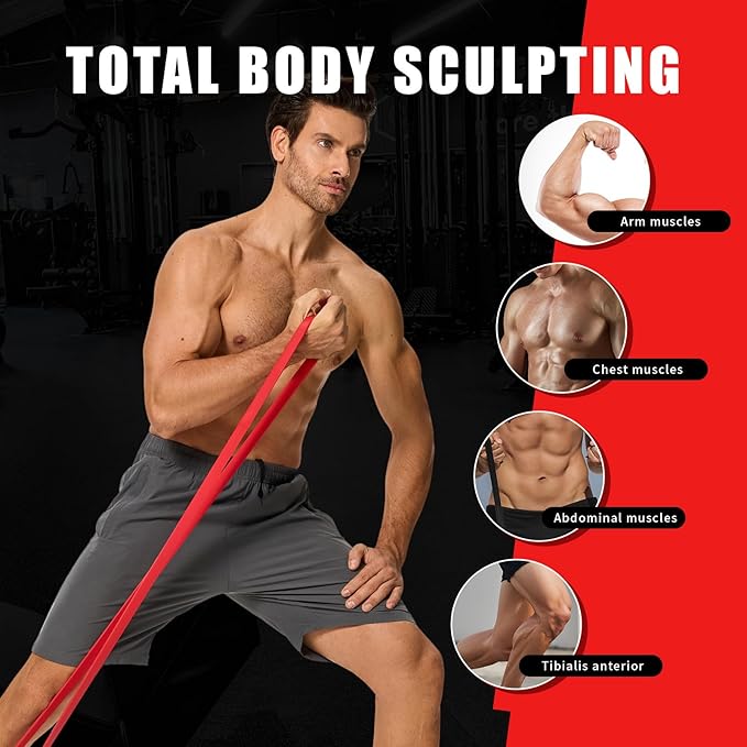 Professional Resistance Bands, Pull Up Assistance Bands Set with Door Anchor, Exercise Workout Bands for Working Out, Body Stretching, Fitness, Physical Therapy, Muscle Training for Men & Women