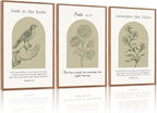 KAlRNE Sage Green Bible Verse Wall Art Set of 3(24”x36”),Framed Vintage Scripture Prints,Religious Birds and Lilies Decor,Green Christian Gallery Artwork for Living Room Bedroom Office
