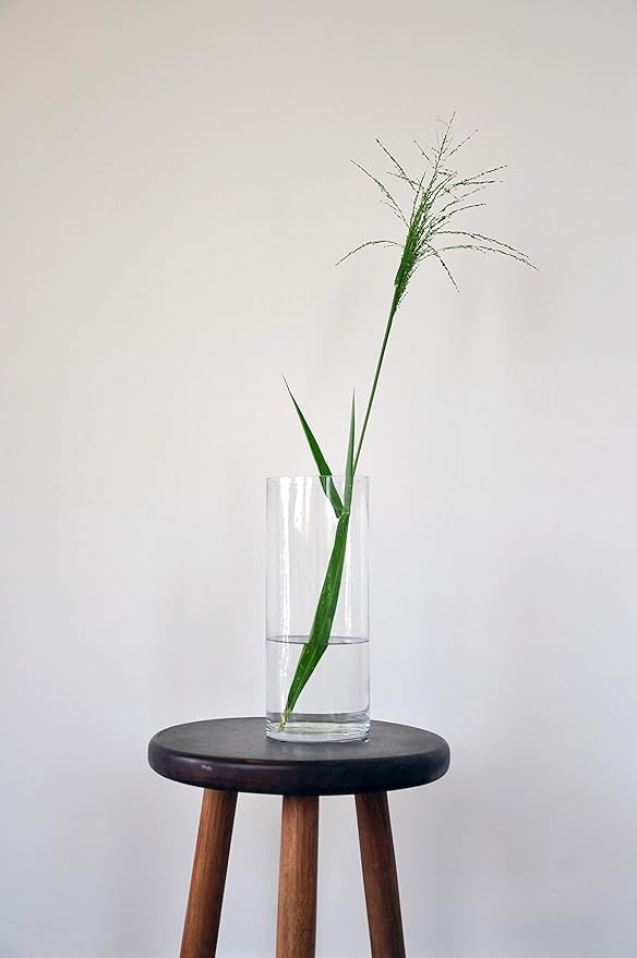 WGV Cylinder Vase Bulk, Diameter 5", Height 12", Clear Glass Floral Planter Container, Tall Centerpiece Arrangement for Wedding Party Event Home Office Decor, 6 Pieces