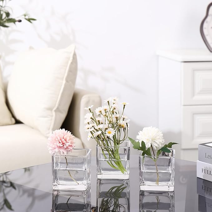 Square Flower Vases Set of 4, 3"x 3"x 3" Glass Vases for Centerpieces, Clear Vase for Flowers, Small Vase for Wedding, Party, Home Office Decoration
