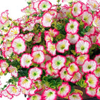 Artificial Fake Spring Outdoor Plants Flowers, 12 Bundles Outside Faux Silk Pink Morning Glory with Eucalyptus Realistic UV Resistant for Planter Pot Porch Garden Yard Patio Balcony Home Decoration
