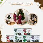 Trumiri Floral Incense Cones - Variety Pack - Total 60 Cone Incense (6 Scents x 10 Conos) - Rose, Lavender, Jasmin, Patchouli, Gardenia, Lily - Cone Incense Scents - Insense Cones - Incent Cone