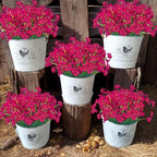 12Pcs UV Resistant Artificial Flowers Artificial Violet Outdoor Decor Realistic Faux Plants Silk Flowers No Fade for Patio Hanging Baskets Garden Pots Farmhouse Yard (Rose Red)