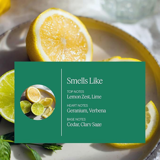 Aera Mini Home Hygiene Citrus and Sage - Essential Oil for Home - Fresh Zest Fragrance - Notes of Lemon, Lime and Geranium - Scent Refill - Capsule Size Works with Mini Diffuser