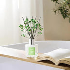 Airkeep Reed Diffuser Set,3.38 fl oz (100 ml) - Cucumber Melon Oil Diffusers with 8 Reed Sticks, Home Fragrance Reed Diffuser for Bathroom Shelf Decor