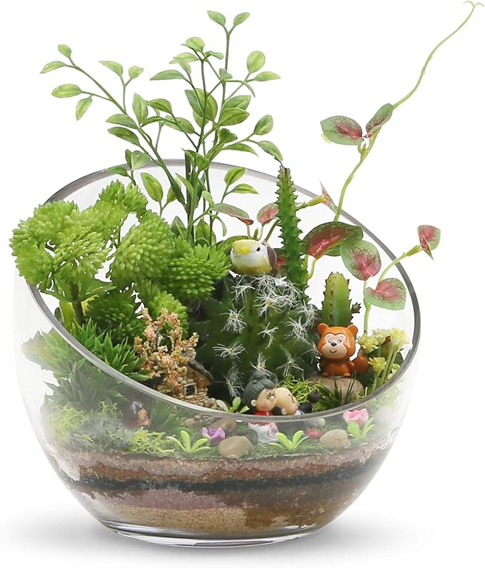 WGVI Clear Slant Cut Bowl Glass Vase, Glass Terrarium, Candy Dish, Glassware, Slant Open: 7". Height: 6" x 2.7". Base: 4" (1 Piece)