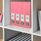 Acrimet Magazine File Holder Bin Storage, Vertical Rack for Documents, Folders and Mail, Durable Plastic Desk Organizer for Office & Home (Solid Pink Color) (2 Pack)
