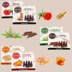 TRUMIRI Exotic Incense Cones - Variety Pack - Total 60 Cone Incense (6 Scents x 10 Conos) - Copal, Oud, Musk, Amber - Cone Incense Scents - Insense Cones - Incent Cone