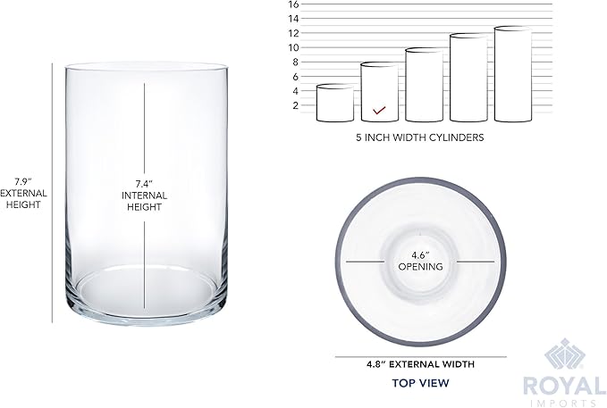 Royal Imports Flower Glass Vase Decorative Centerpiece for Home or Wedding - Cylinder Shape, 8" Tall, 5" Opening, Clear