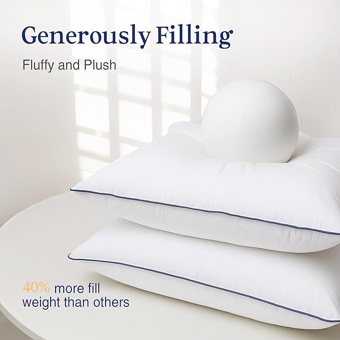puredown® 22x22 Pillow Inserts Set of 2, Overfilled Down Alternative Decorative Pillows with 100% Cotton Cover, Plush Fluffy Throw Pillows for Couch, Sofa, Bed and Home Decor