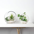 WGV Slant Cut Bowl Glass Vase Bulk, Width 9", Height 9", Clear Round Globe Planter Terrarium Orb, Candy Dish, Fruit Jar, Floral Container for Home Office Decor, 4 Pieces