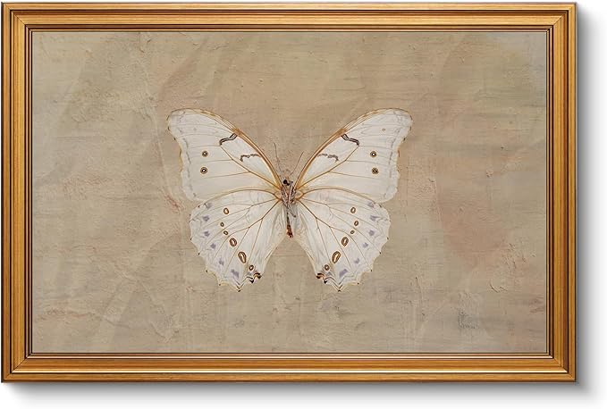 VIYYIEA Vintage Gold Framed Wall Art for Living Room, White Butterfly Canvas Prints Home Decor, Oil Painting Picture, Bedroom Wall Decor Gifts for Friends or Family -【Morpho polyphemus】-(24L x 16W)