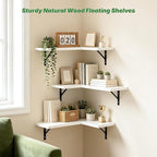 NATURE'S SOURCE Corner Floating Shelves Set of 3, Corner Shelves Wall Mounted, for Bedroom Kitchen Living Room Bathroom Office- Gothic Style (White, Set of 3)