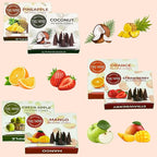 Trumiri Fruity Incense Cones - Variety Pack - Total 60 Cone Incense (6 Scents x 10 Conos) - Strawberry, Coconut, Pineapple, Apple, Mango, Orange - Cone Incense Scents - Insense Cones - Incent Cone
