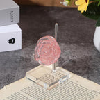 16 PCS Adjustable Metal Arms Display Stand, 2 X 2 X 3.5 Inch Small Rock Display Stand with Acrylic Base Small Displays Easel Holder Crystal Displays Stands for Picture Coral Geodes Mineral Agate