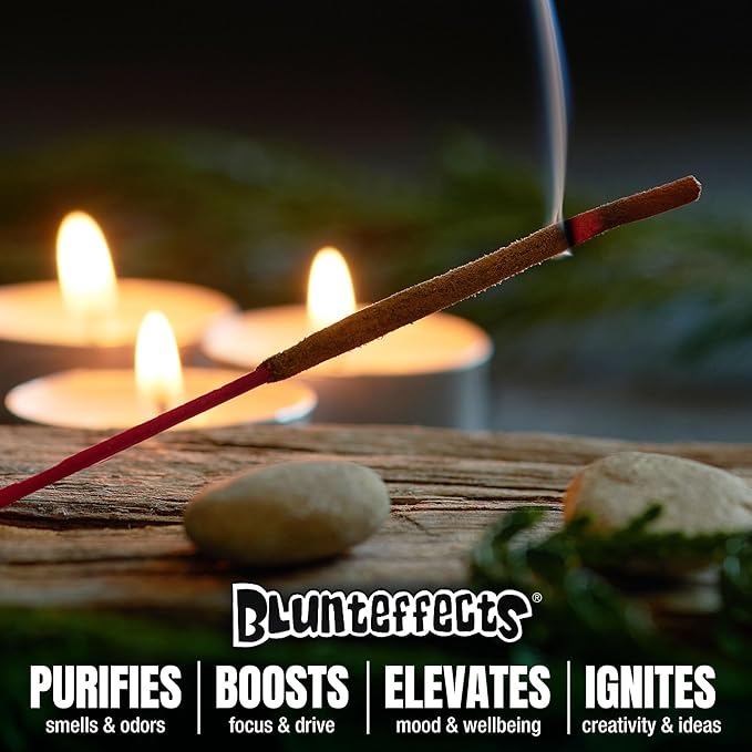 Blunteffects Hand-Dipped Incense Sticks - Premium 180-Pack Variety Set, 15 Different Scents, 11" Long, USA-Made Aromatherapy with Long Burn Time (15 Pack, 180 Total Sticks)