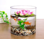 WGV Cylinder Vase Bulk, Width 8", Height 10", Clear Wide Large Diameter Flower Glassware, Floral Container, Planter Terrarium for Wedding Party Event, Home Accent Decor, 6 Pieces