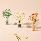 Airkeep Reed Diffuser Set of 3, Black Forest Eucalyptus Moss Citrus Oil Reed Diffusers for Bedroom Living Room Office Aromatherapy Oil Reed Diffuser for Gift 50ml
