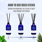 Xcleen Reed Diffuser Set, Aqua Breeze Scented Oil Diffuser with Sticks, Long-Lasting Home Fragrance Reed Diffusers for Bathroom Office Shelf, Room Fresheners 3.7 Oz