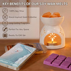 SCENTORINI Wax Melts, Soy Wax Cubes for Relax Healing, Summer Scents Wax Tarts for Warmer, Highly Scented Wax Melts Gift Set for Home Fragrance, 8 Pack