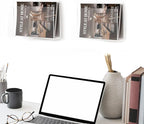 2 Pcs Magazine Holder, Wall Mount Clear Acrylic Magazine Rack, Organizer Folder, Bookshelf, File Storage Rack for Waiting Room, Living Room, Office, Home Display