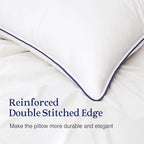 puredown® 24x24 Pillow Inserts Set of 2, Overfilled Down Alternative Euro Pillows with 100% Cotton Cover, Plush Fluffy Decorative Throw Pillows for Couch, Sofa, Bed and Home Decor