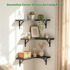 NATURE'S SOURCE Corner Floating Shelves, Corner Shelf Wall Mounted, Shelves for Room Wall, Home Decor Living Room Bedroom Office Kitchen Bathroom- Gothic Style (Black, Set of 3)