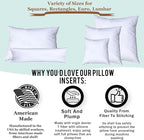 Pillowflex Premium Polyester Throw Pillow Insert - 22x22 - Ultra Soft Square Throw Pillow, Couch Sham, Lumbar, Back, Sofa - Machine Washable - Decorative Accent Form - 1 Soft Pillow