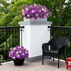 6 Pcs Artificial Petunia Flowers for Outdoor, Fake Spring Petunias Faux Silk Flowers for Outdoors UV Resistant Plants for Planters Garden Porch Patio Window Box Indoor Table Decor(Double Purple)
