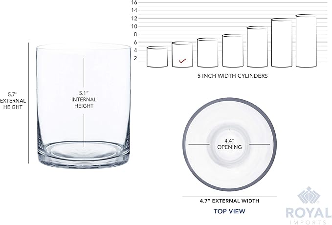Royal Imports Flower Glass Vase Decorative Centerpiece for Home or Wedding - Cylinder Shape (5" Wide x 6" Tall, Clear)