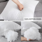Oubonun 24 x 24 Throw Pillow Inserts, Firm and Fluffy Decorative Square Pillows for Couch Bed Sofa with Soft Cotton Cover White Cushion with Down Alternative Pack of 2
