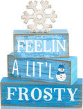Yuntau 4 Pcs Winter Wooden Tabletop Decor Christmas Snowflake Tiered Tray Decor Rustic Wood Block Sign Gift Winter Centerpiece for Shelf Office Farmhouse Table Frozen Birthday Party Decoration
