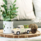 St. Patrick's Day Mini Metal Truck with Plastic Coin Vintage Diecast Pickup Tiered Tray Decor Rustic Farmhouse Shamrock Ornament Truck for St Patrick Home Shelf Table Tiered Tray Decorations