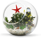 WGV Slant Cut Bowl Glass Vase, Width 5.5", Height 5.5", Clear Round Globe Planter Terrarium Orb, Candy Dish, Fruit Jar, Floral Container for Home Office Decor, 1 Piece