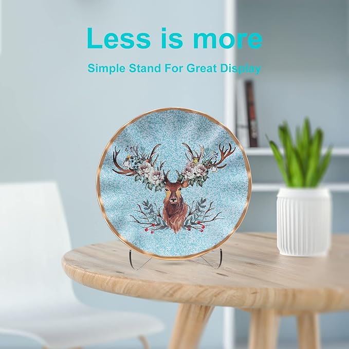 Boloyo 60-Degree Angle Acrylic Plate Display Stand , 4.5 Inch 2PC Clear Acrylic Display Holder Easel Base for Home Office Kitchen School Art Display
