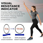 THERABAND High Resistance Band, Light Elastic Super Band for Full Body Workouts, Physical Therapy, Strength Training, Durable 41” Loop Exercise Band, 15 lb Resistance